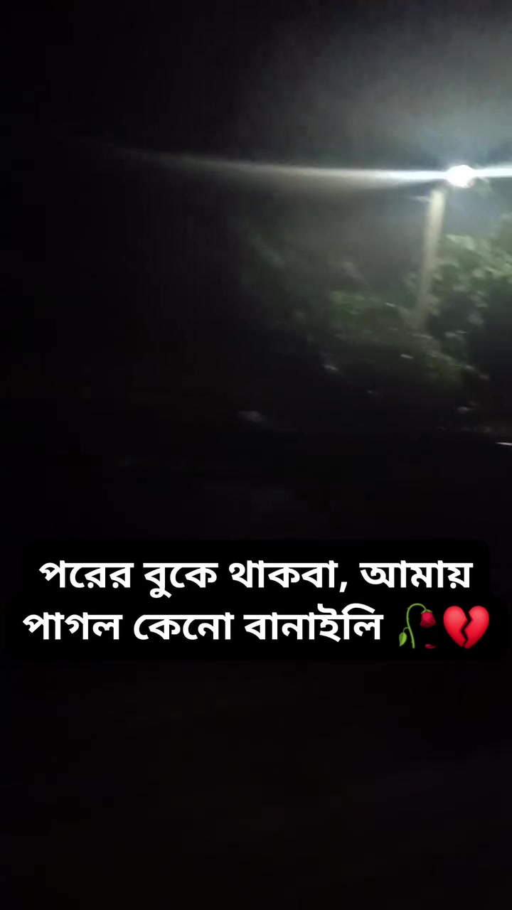 @Hameed Liton 🌿💕