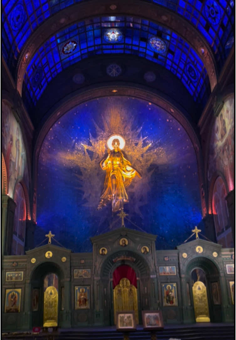 @qpuussy