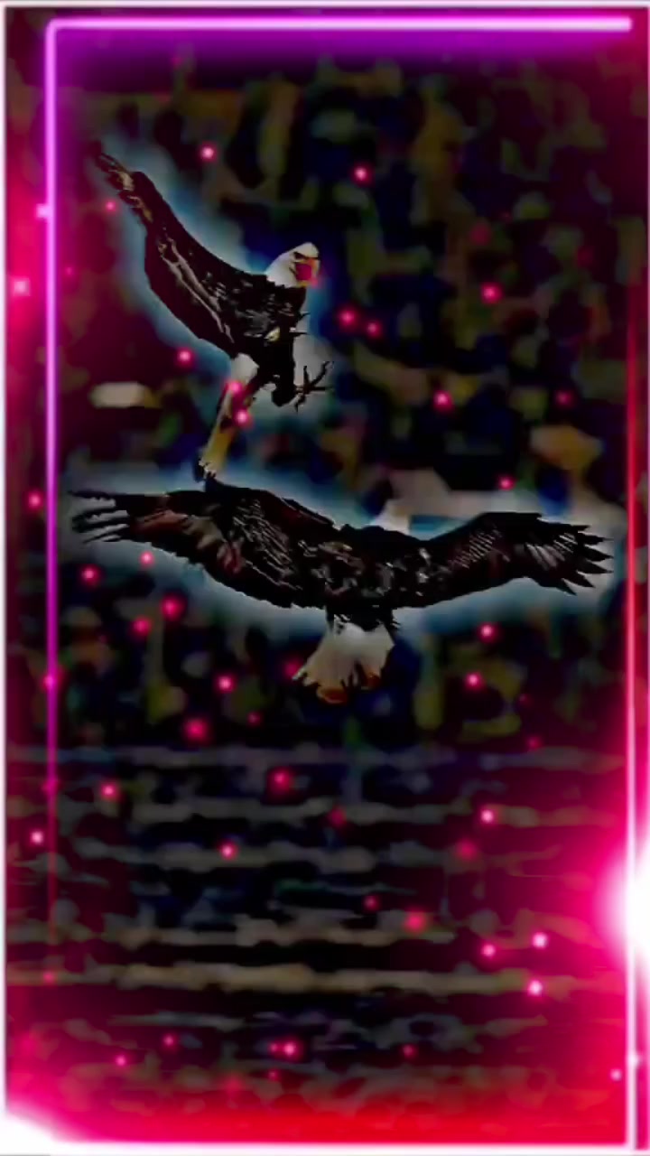 @᭄ᴬᴰᴹᴵᴺ☆𝐊ʜᴏᴋʜᴀʀ⓶&sup3;𝟗𝄟