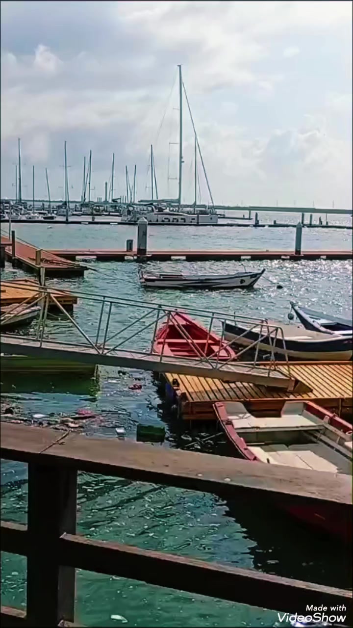 @bora de carona _pe