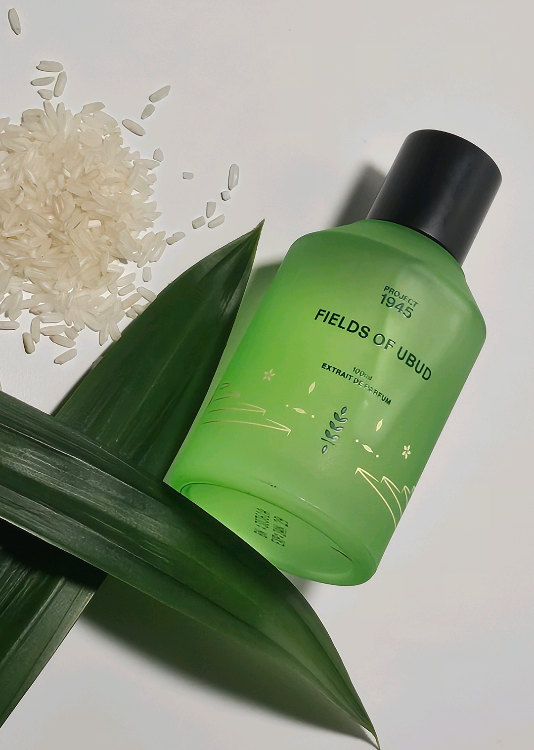 @Ardan — Fragrance Euphoria