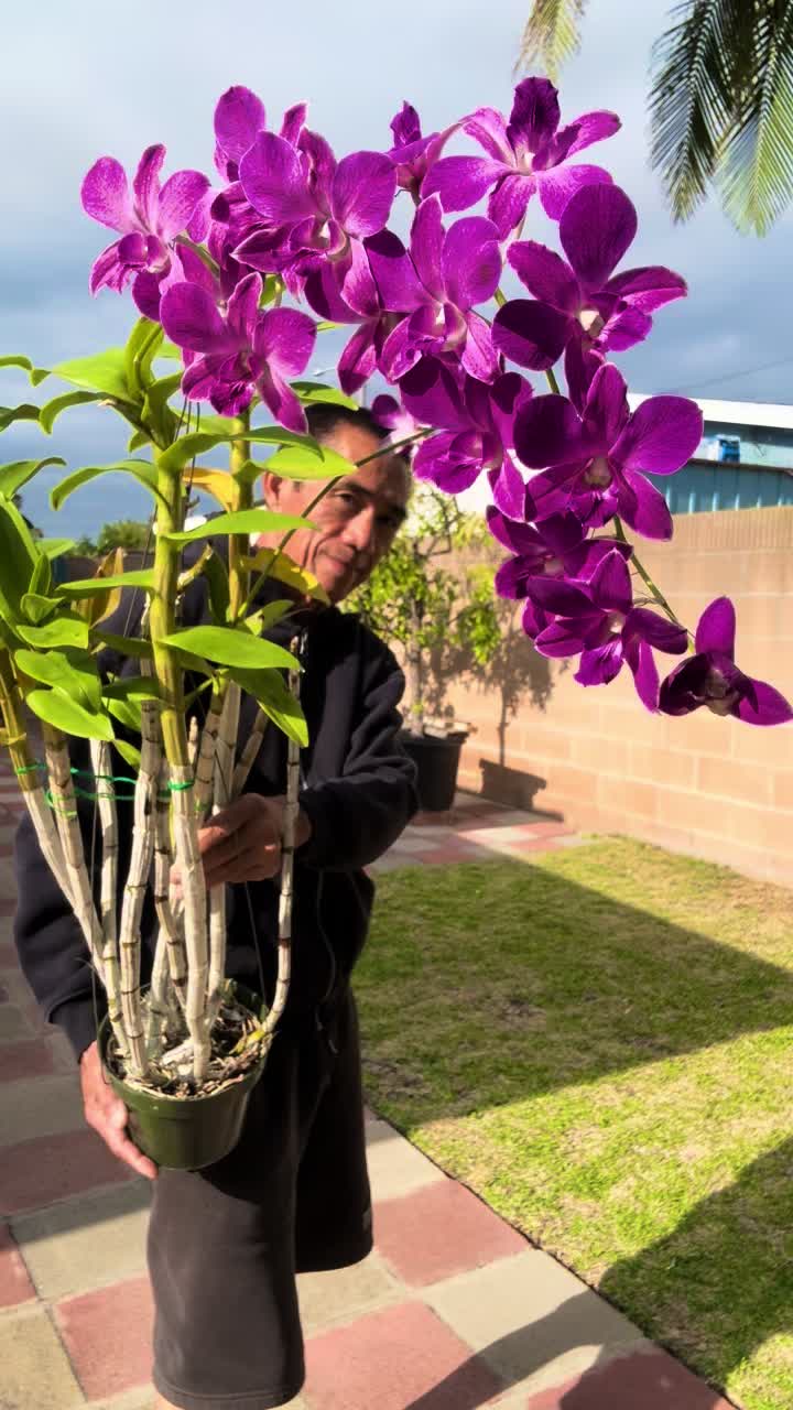 @Anhmoi🌸tictok