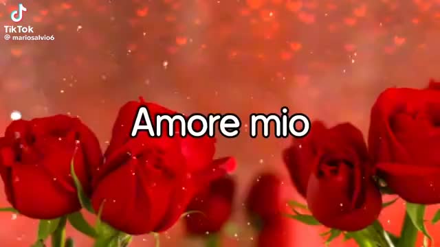 @anna donn burdell😘
