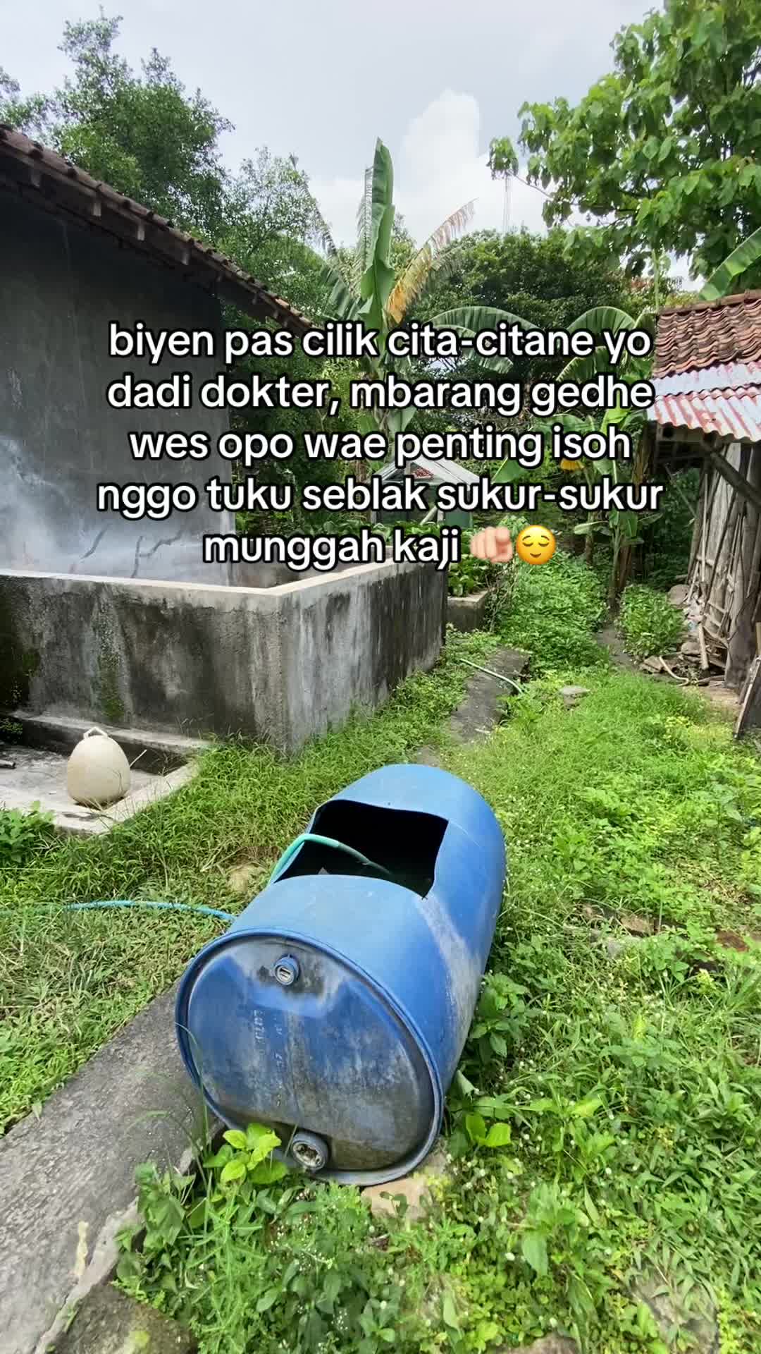 @zal