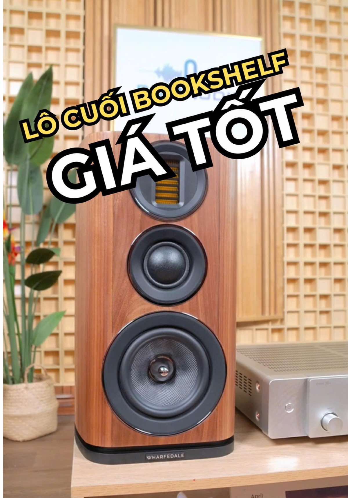 @D&aacute;t V&agrave;ng M&agrave;ng Nhĩ 🎼