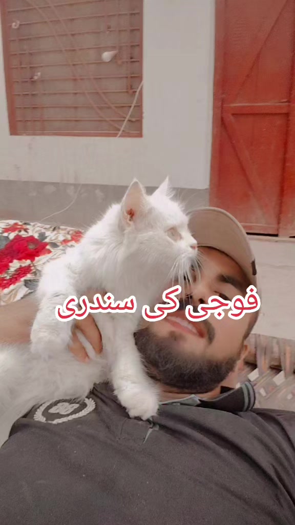 @من جانباز 💪🇵🇰