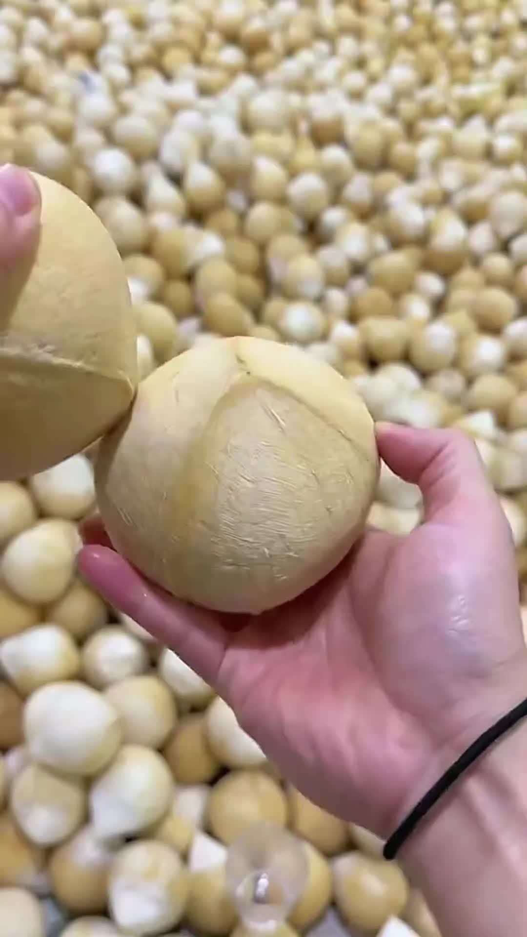 @Fruits🍑 Video