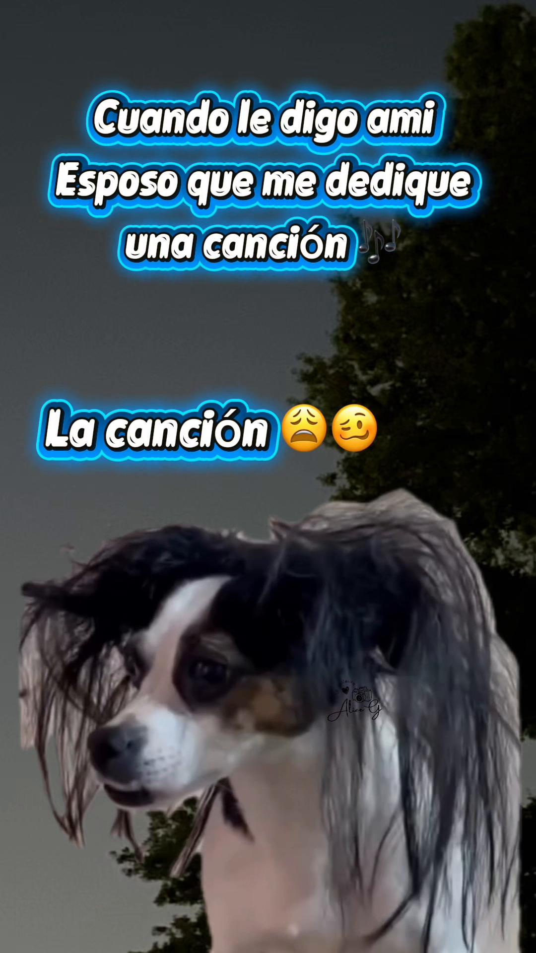 @𝓐𝓵𝓲𝓬𝓮 𝓖'👩&zwj;🍳🍪🦋☘️