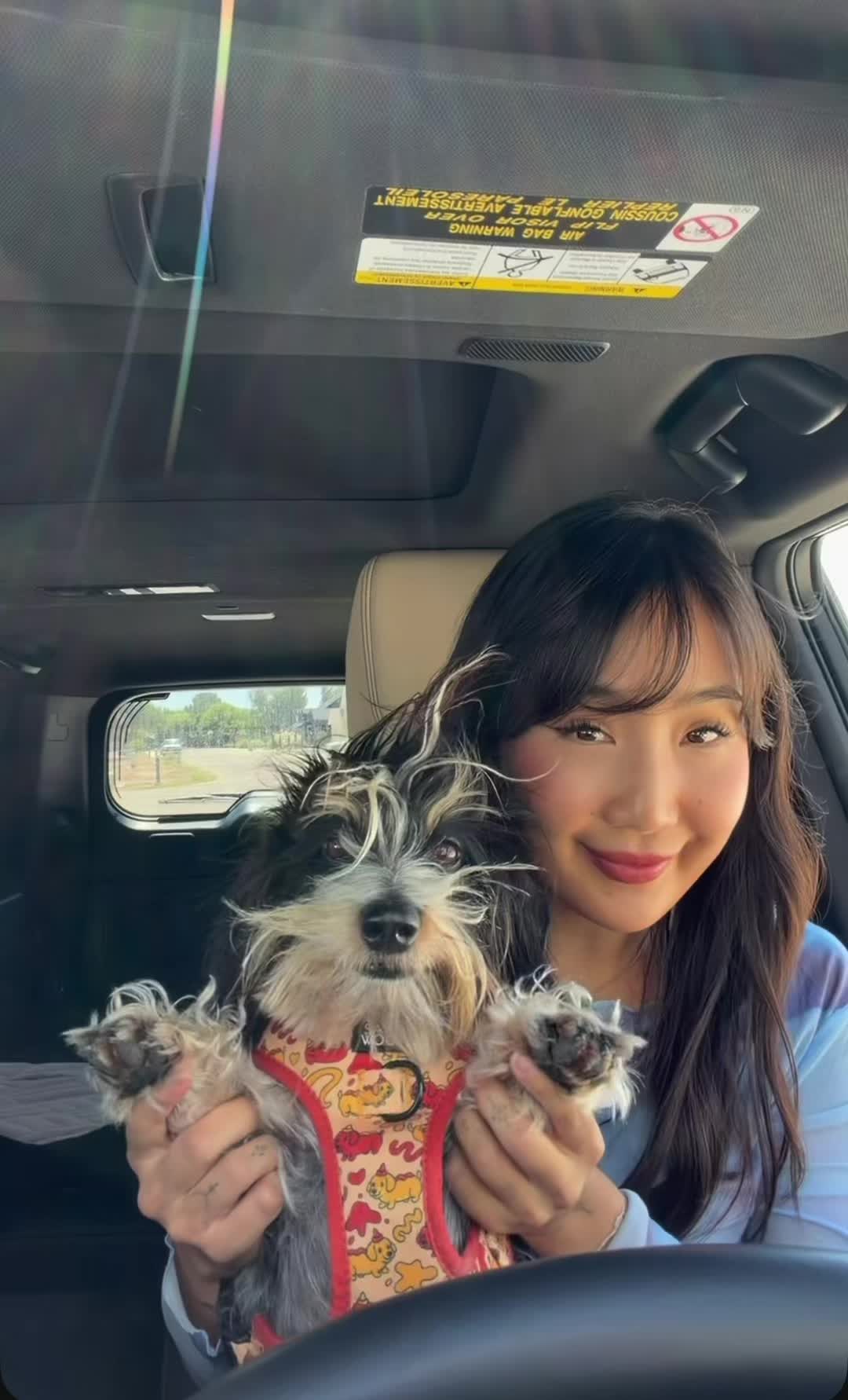 @PetSmart