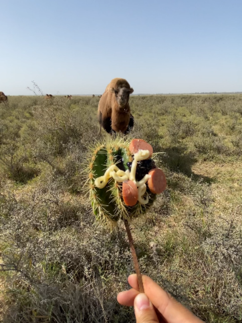 @Gislason Camel