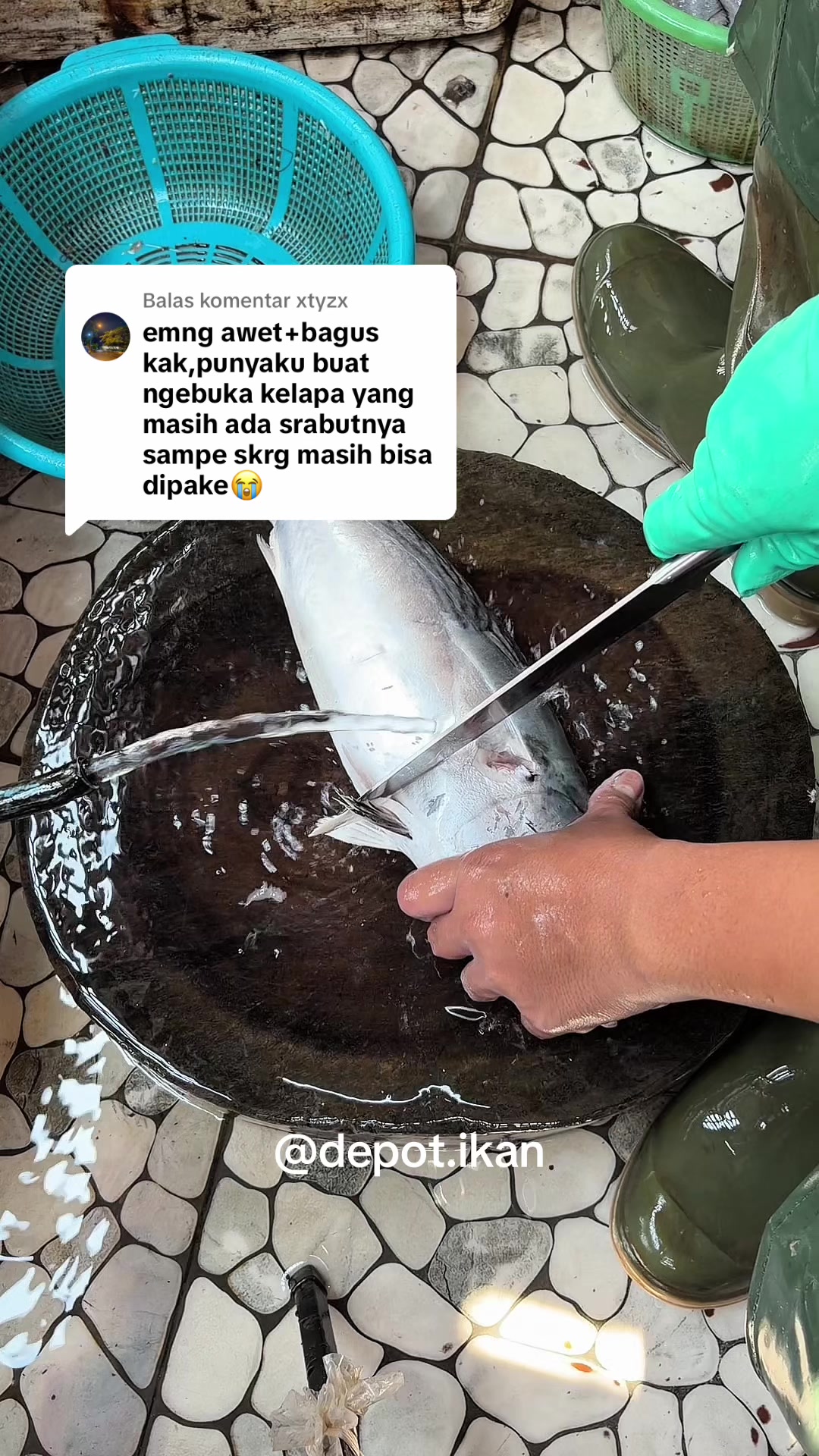 @Depot Ikan