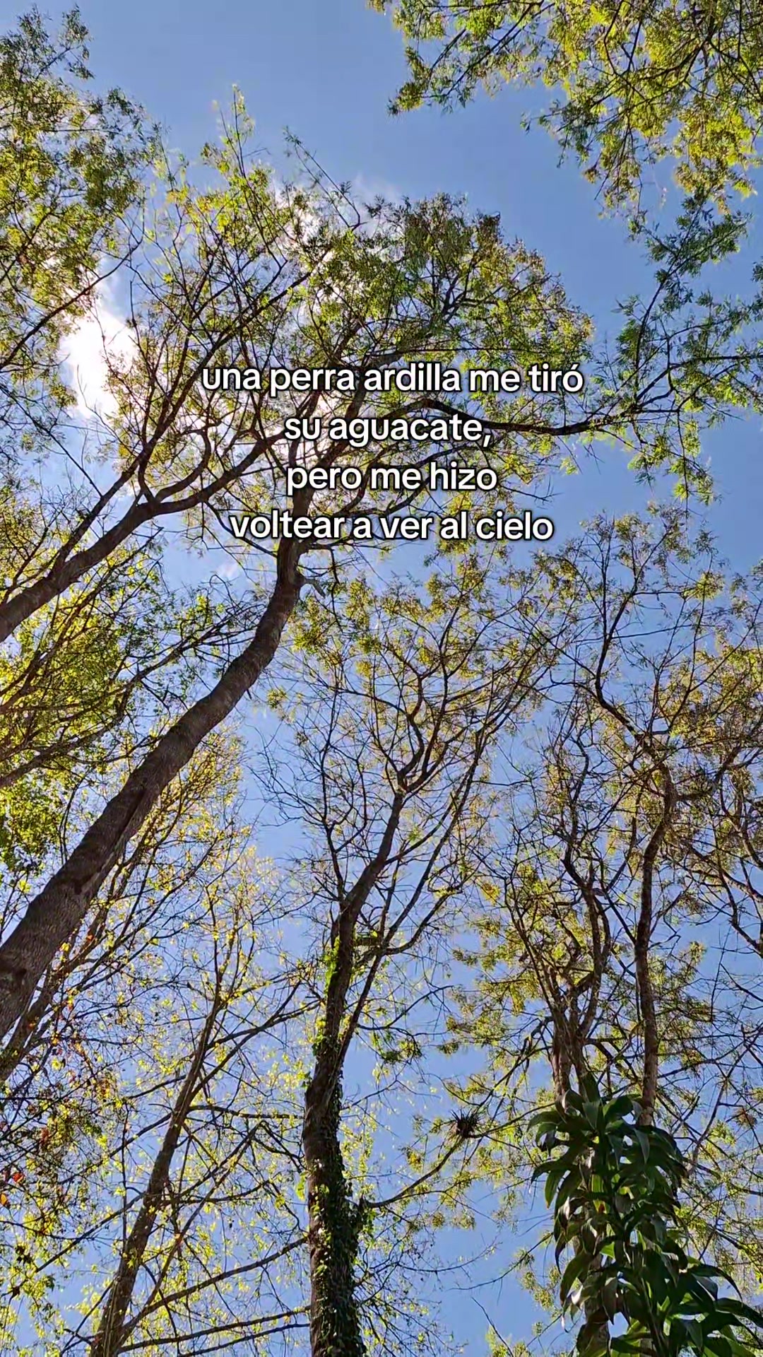@cris ♡