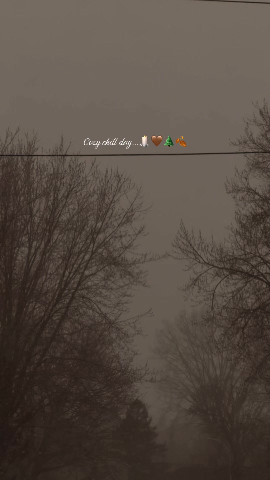 @Emilie˚˖𓍢ִ໋❀