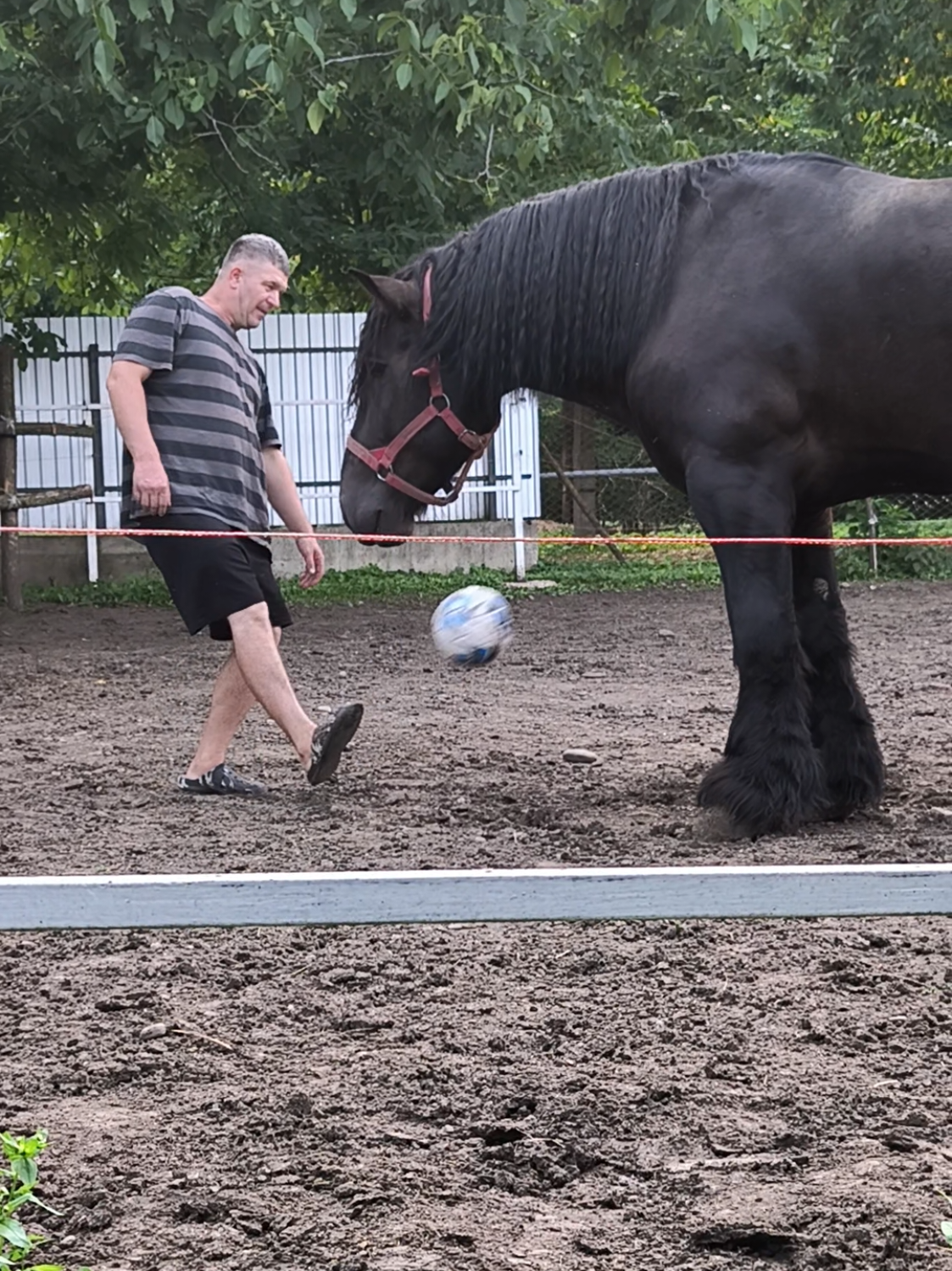 @ВАСЯ БОЙЧУК 🐎