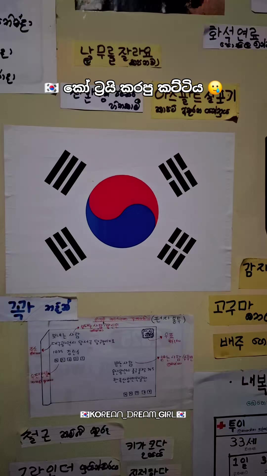 @🇰🇷KOᖇEᗩᑎ_ᗪᖇEᗩᗰ_GIᖇᒪ🇰🇷