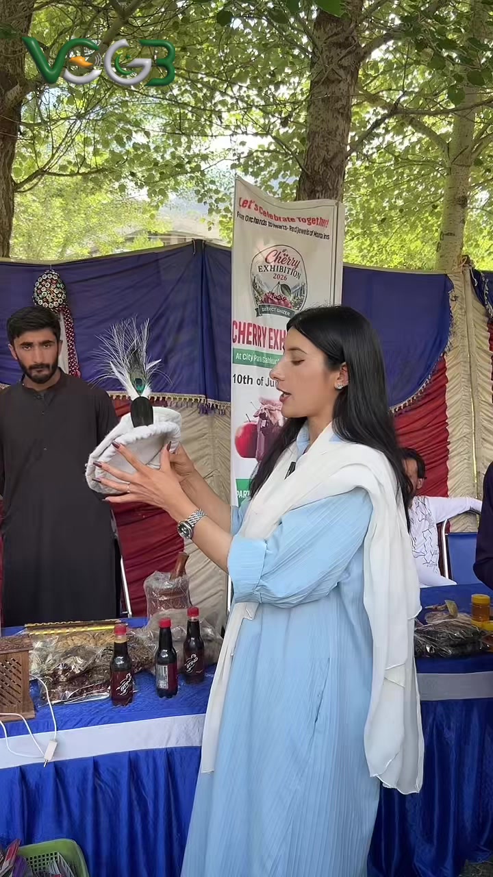 @Voice Of Gilgit Baltistan