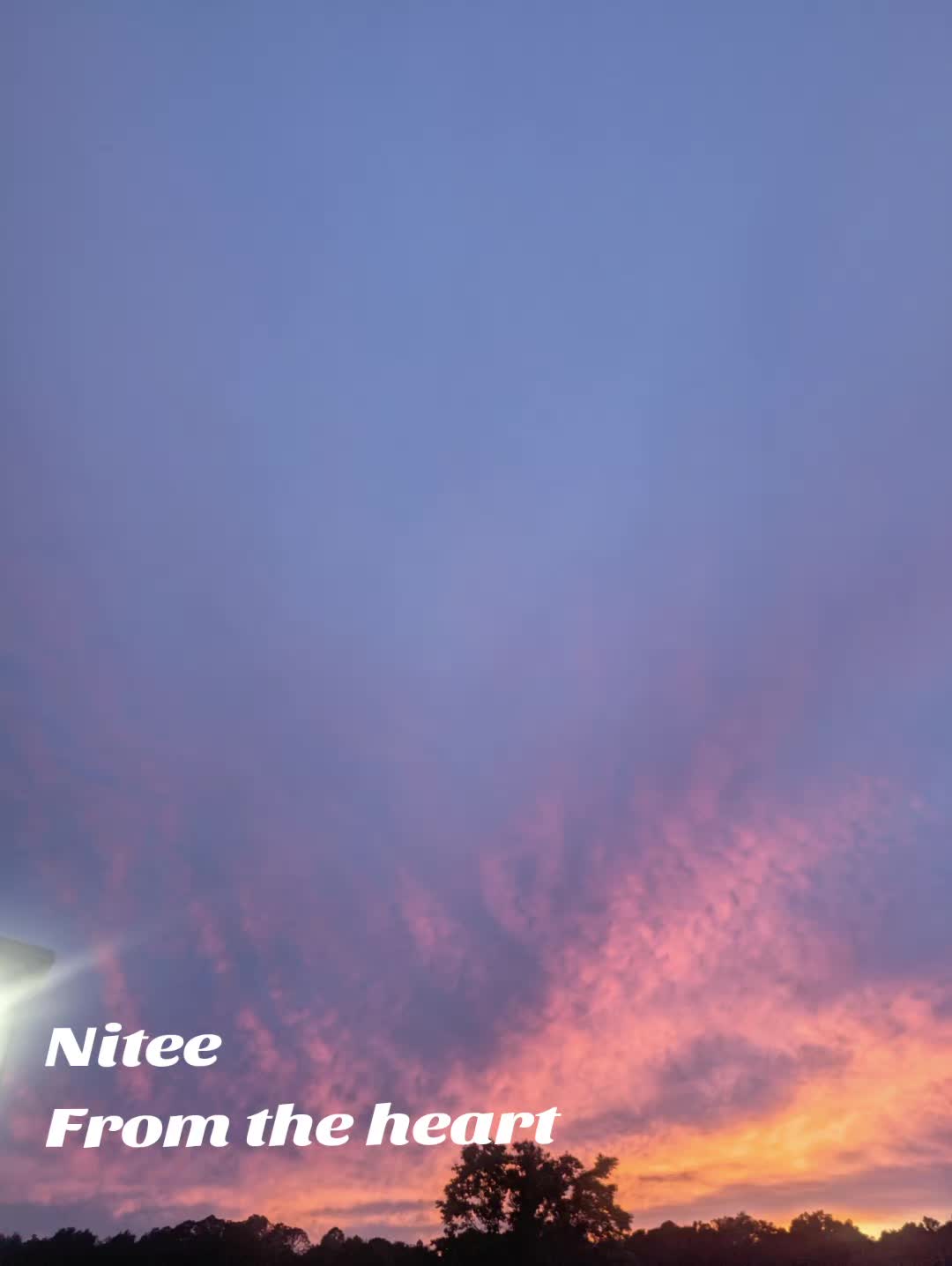@Nitee