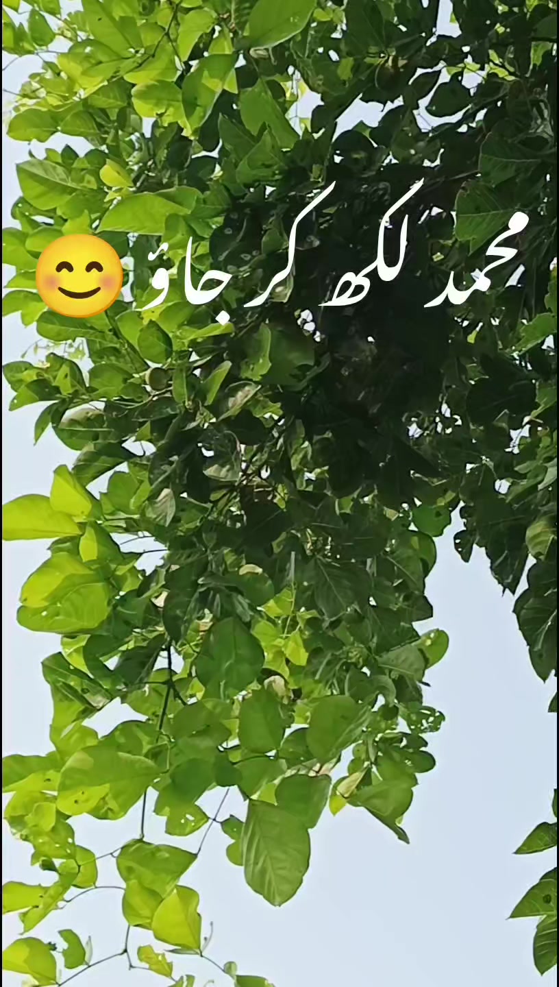 @ISLAMIC VIDEOS✅