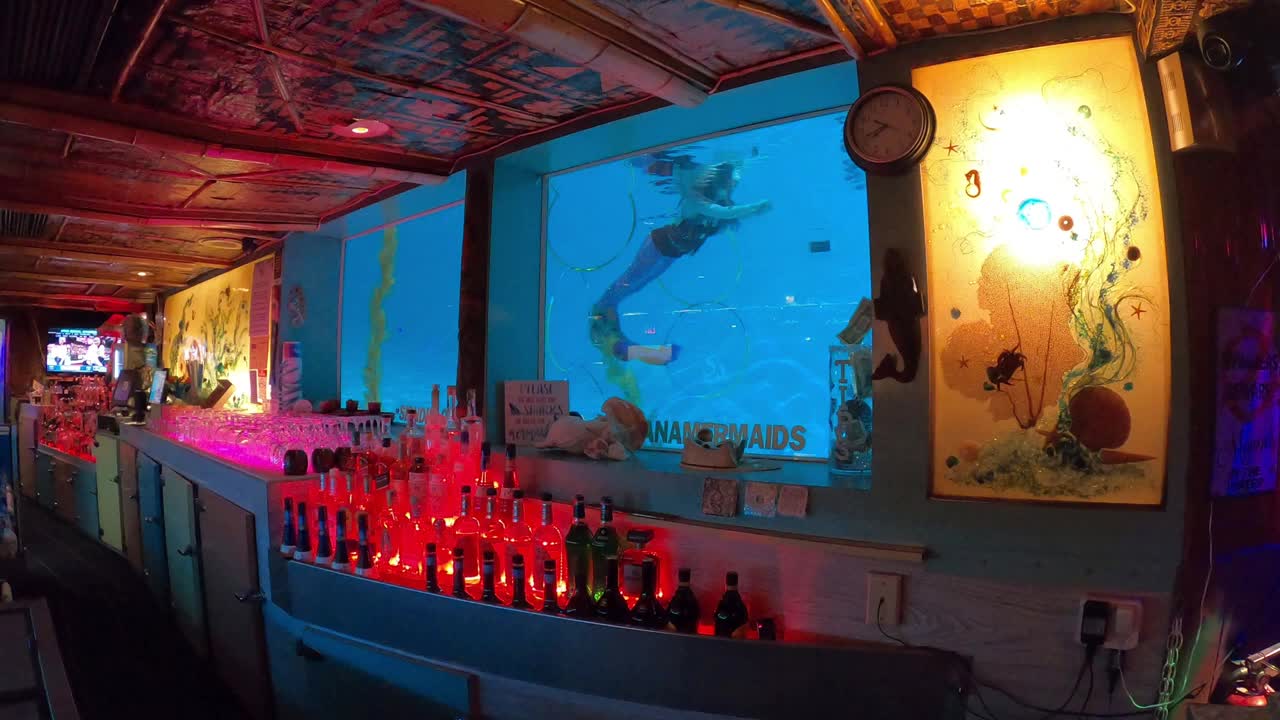 @Little Mermaid Aerial