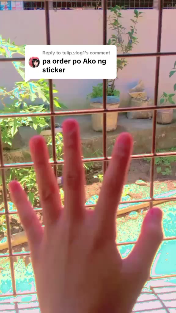 @jayden 🌺🌸