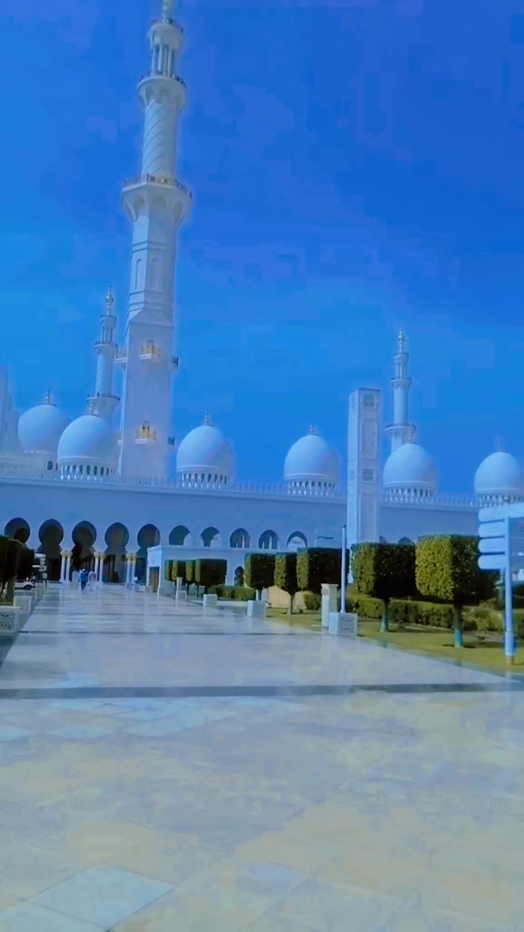 @Real.Ibrahim -🇦🇪