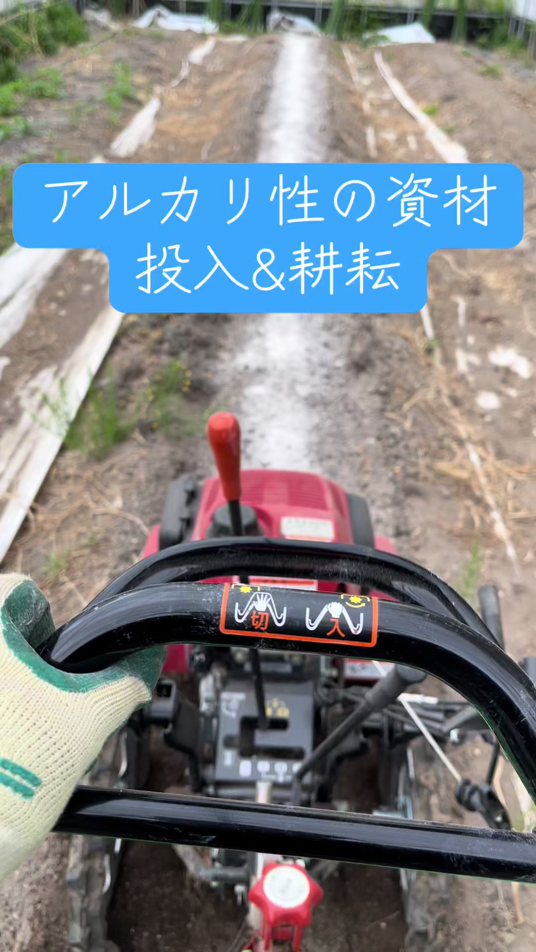 @美味しいトマトの研究所🍅🦌