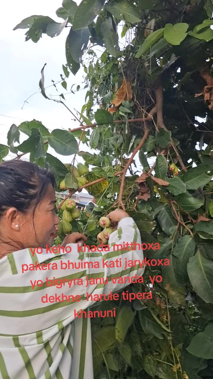 @Puja Pulami