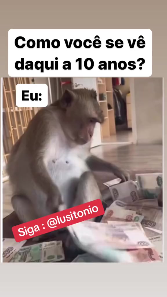 @Lusitonio Machado Do