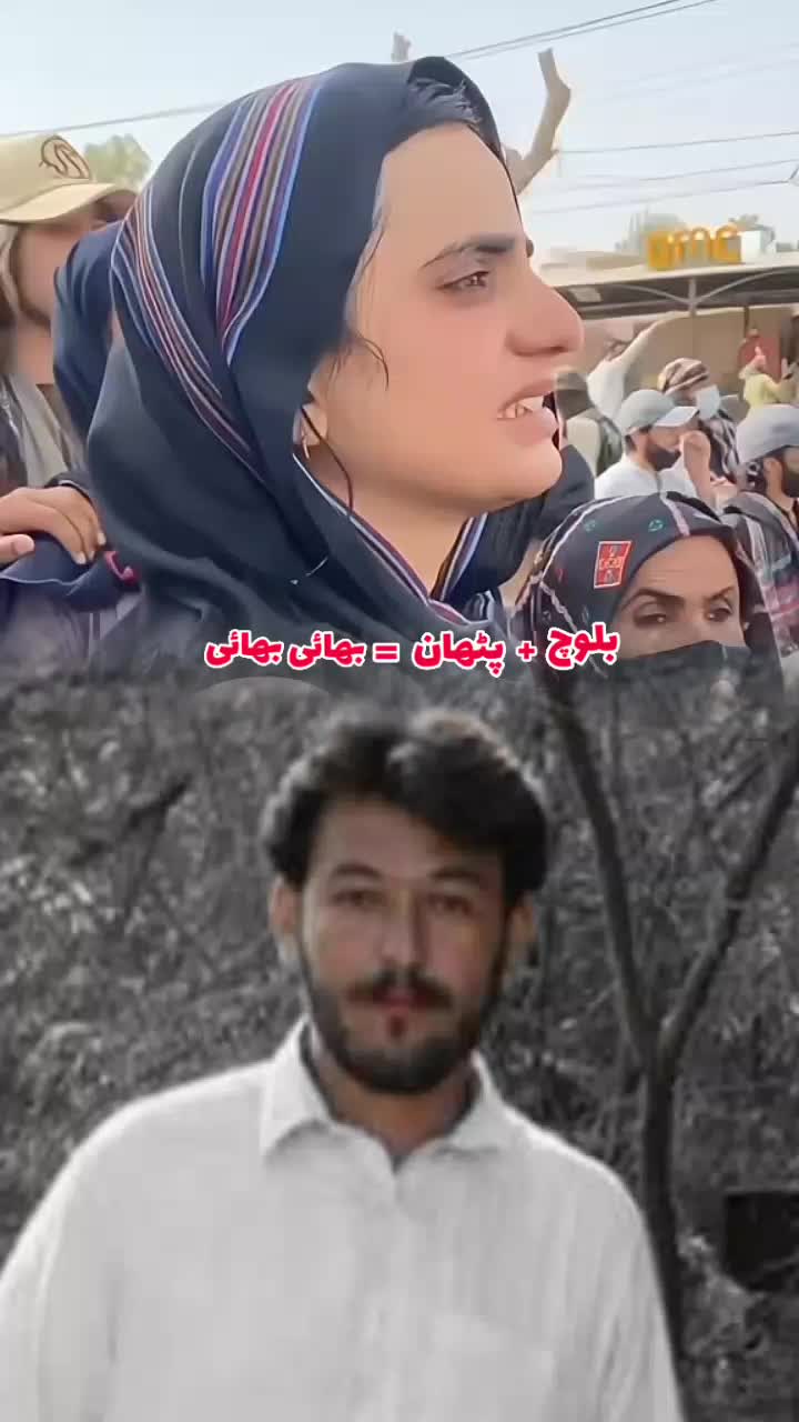 @rashidkhan804