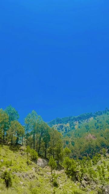 @🇦🇫[𝐍𝐀𝐃𝐀𝐍✓744]🇦🇫
