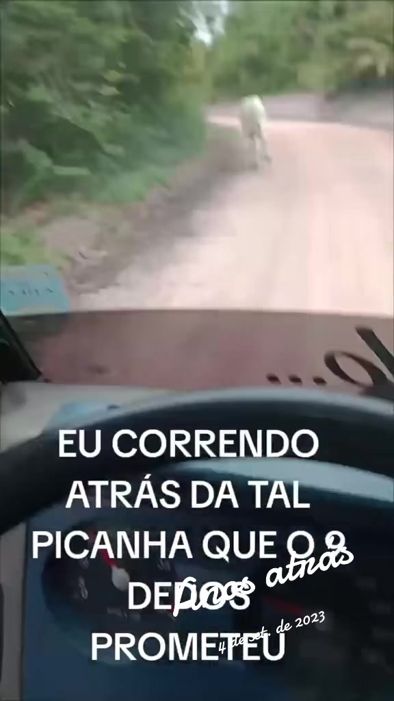 @ZANI