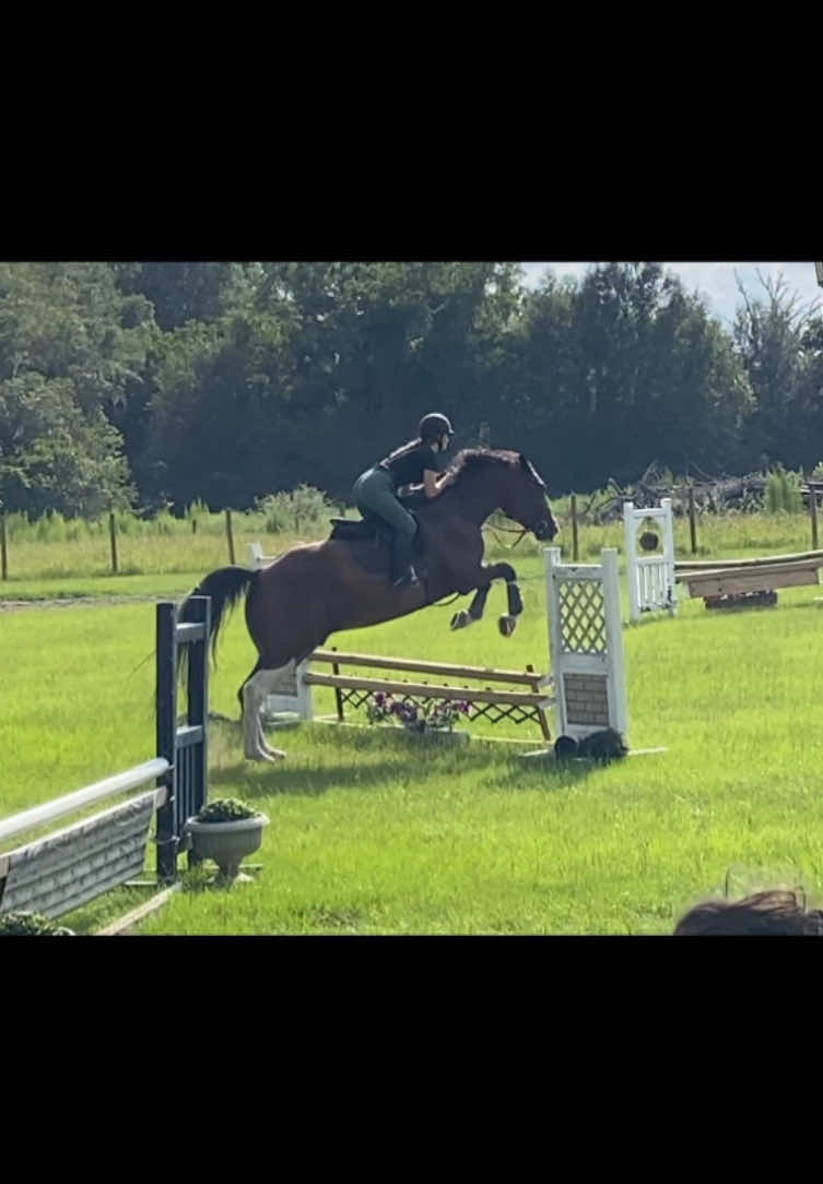 @.ktm.equestrian