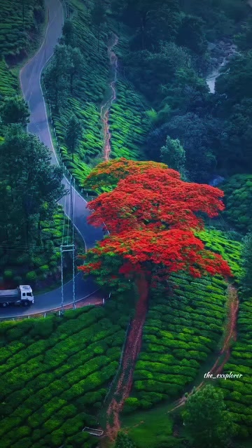 @Dev Narayan Sada225