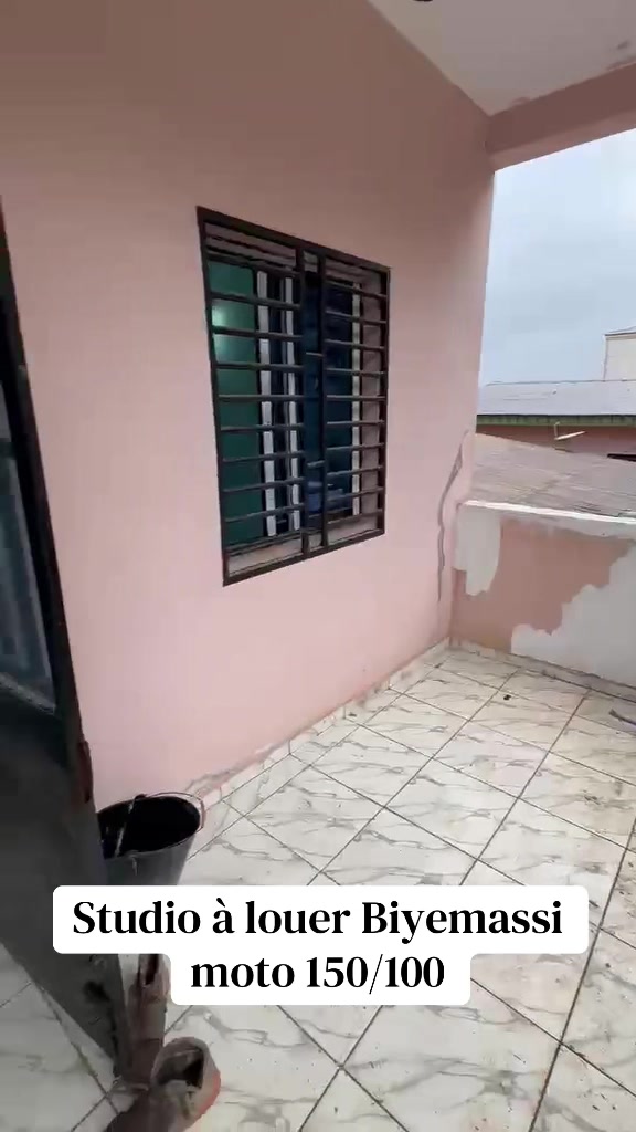 @DINO~IMMO~237🇨🇲🇨🇲