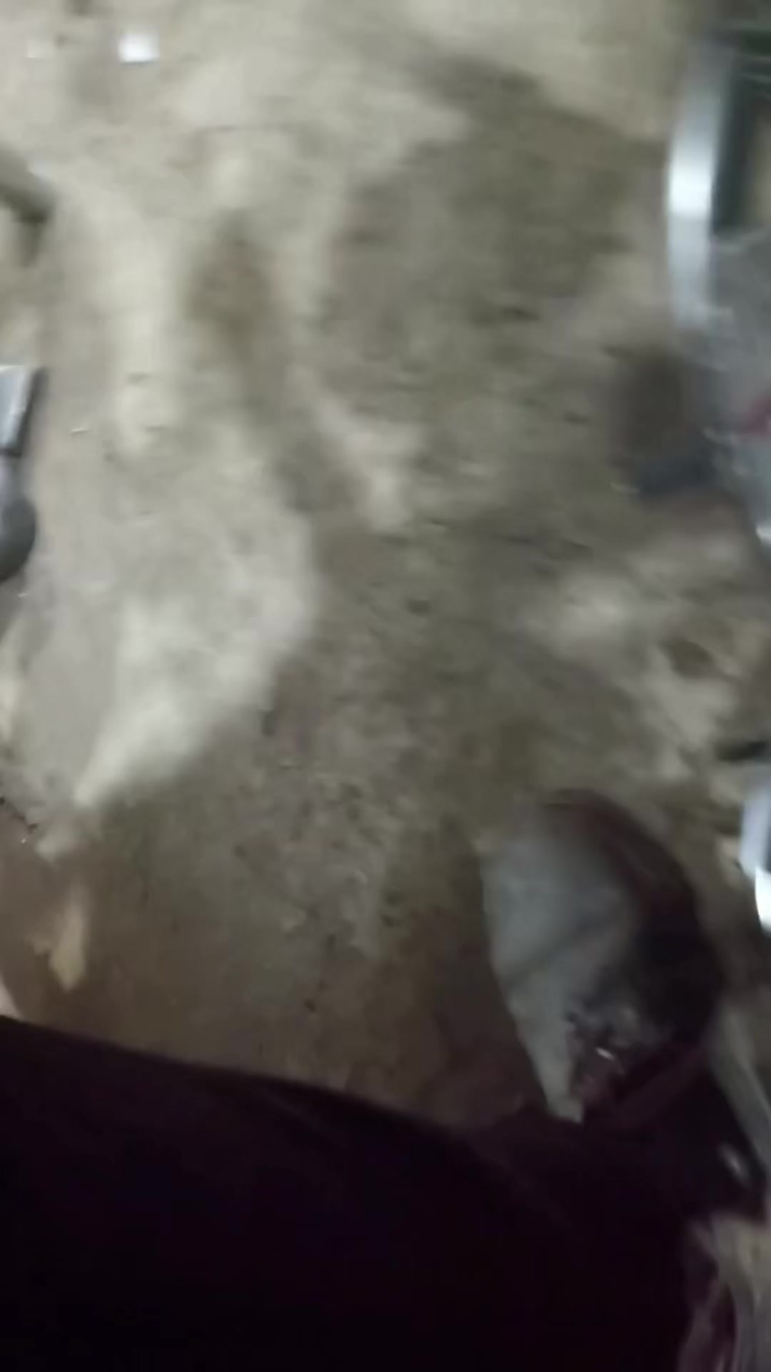 @𝘽𝘼𝙏𝙍𝙊𝙆