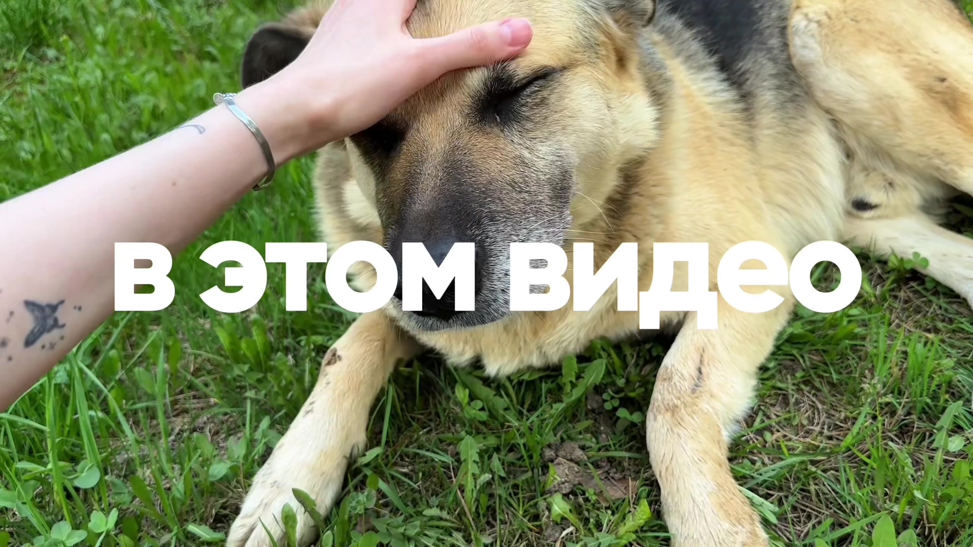 @Лизка с корицей✨
