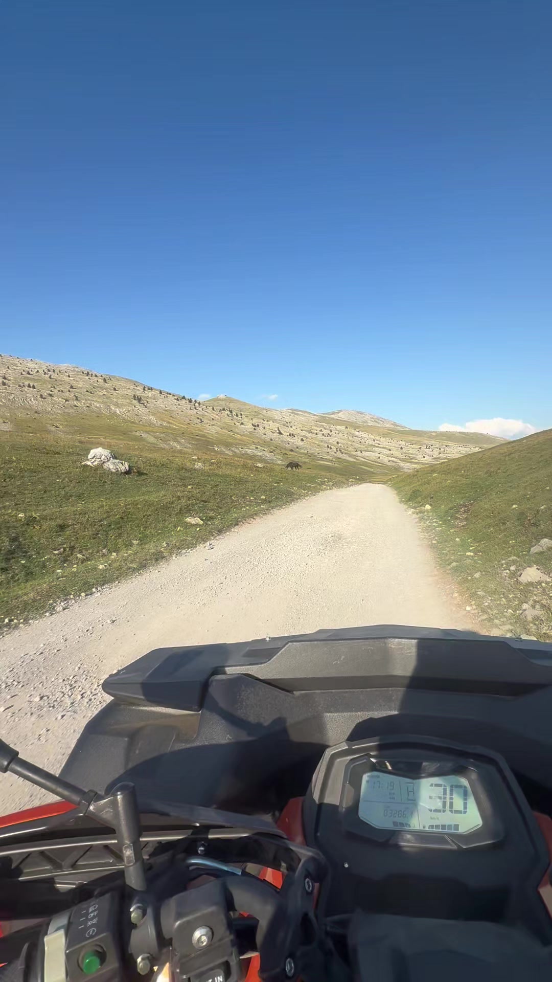 @Atv Quad Zavidovici