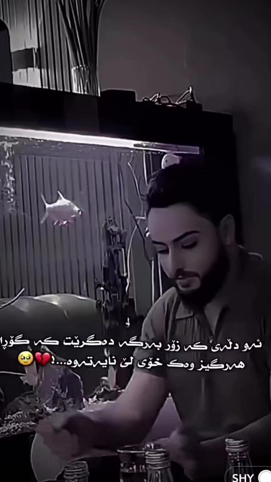 @ŘĂⓂB&Oacute;ـqatel