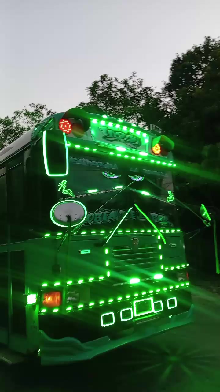 @buses elegantes 503