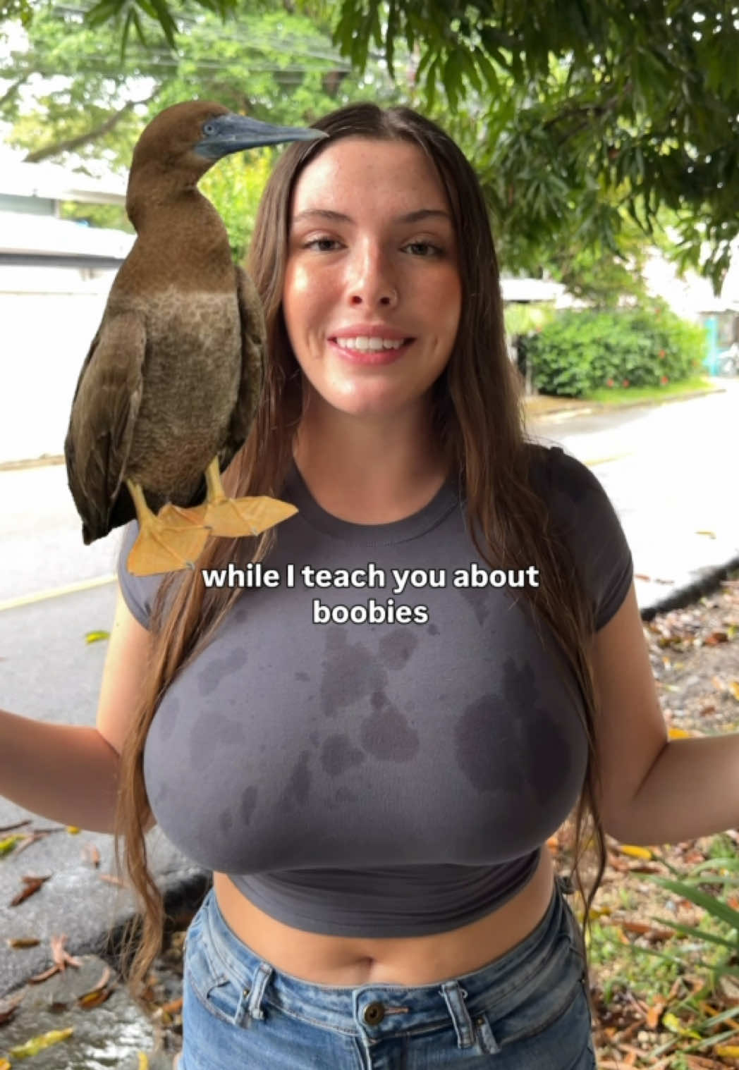 @jazminesinging__