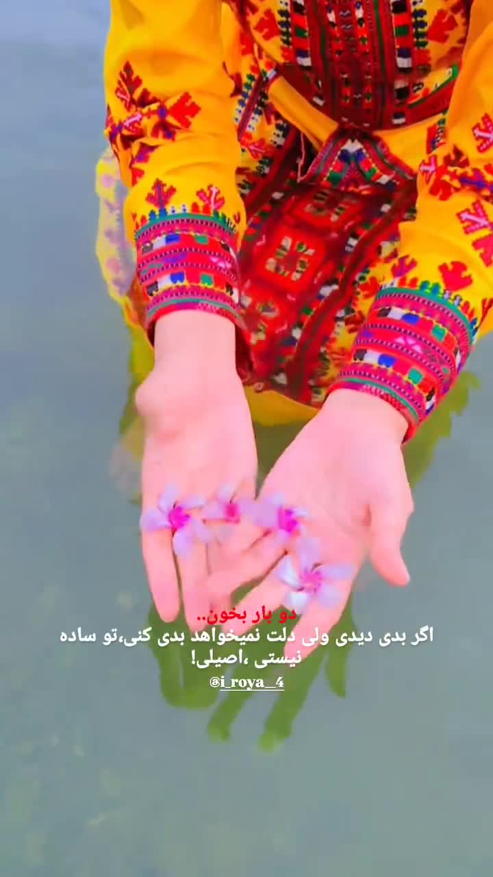 @iroya14