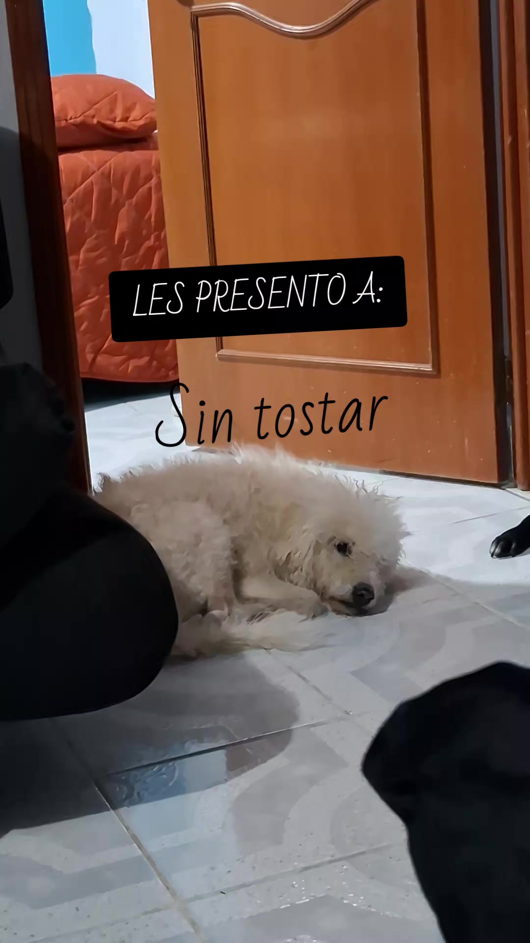 @lore