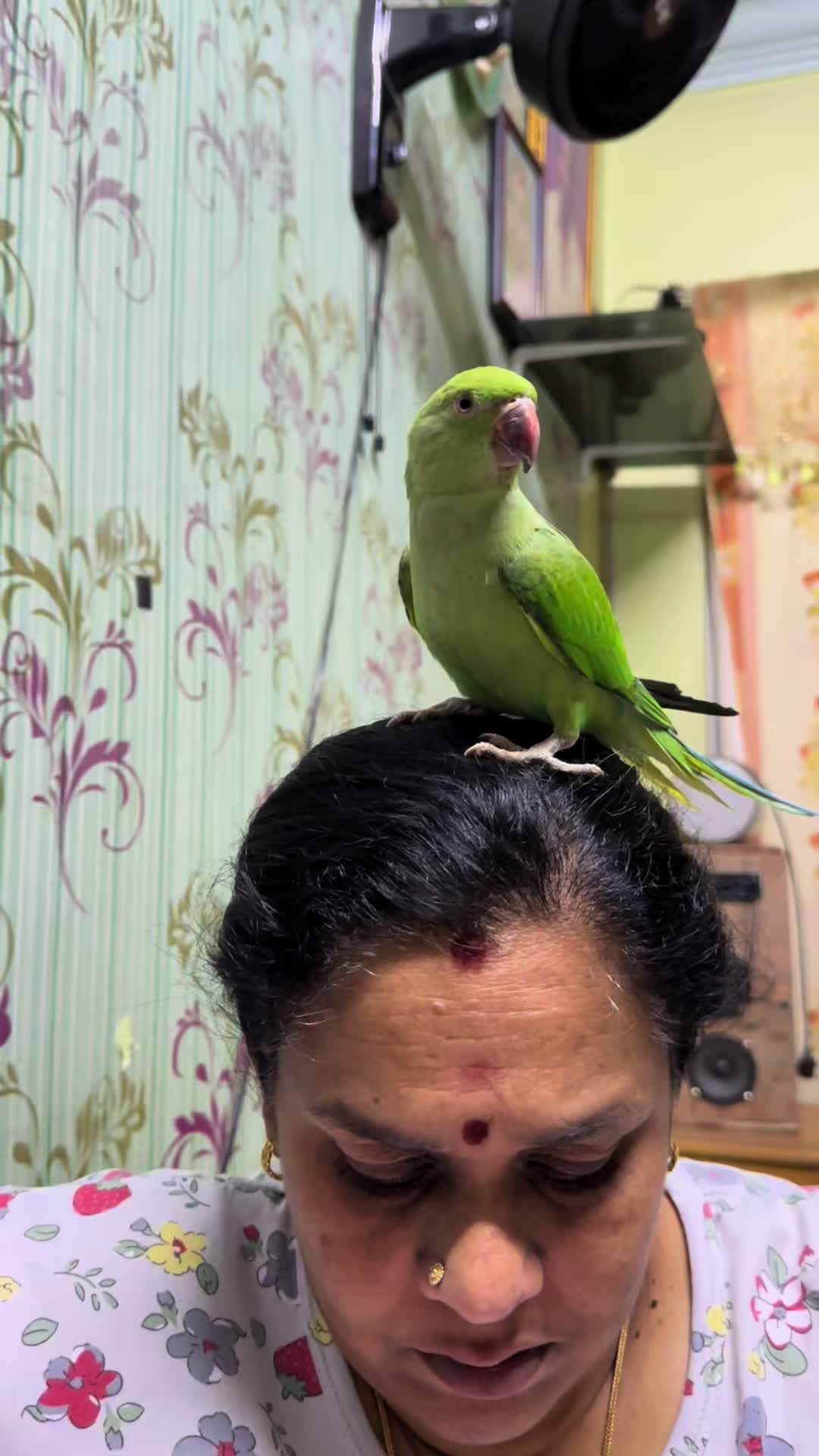 @Vellaiyammalsugumar🧿🔮