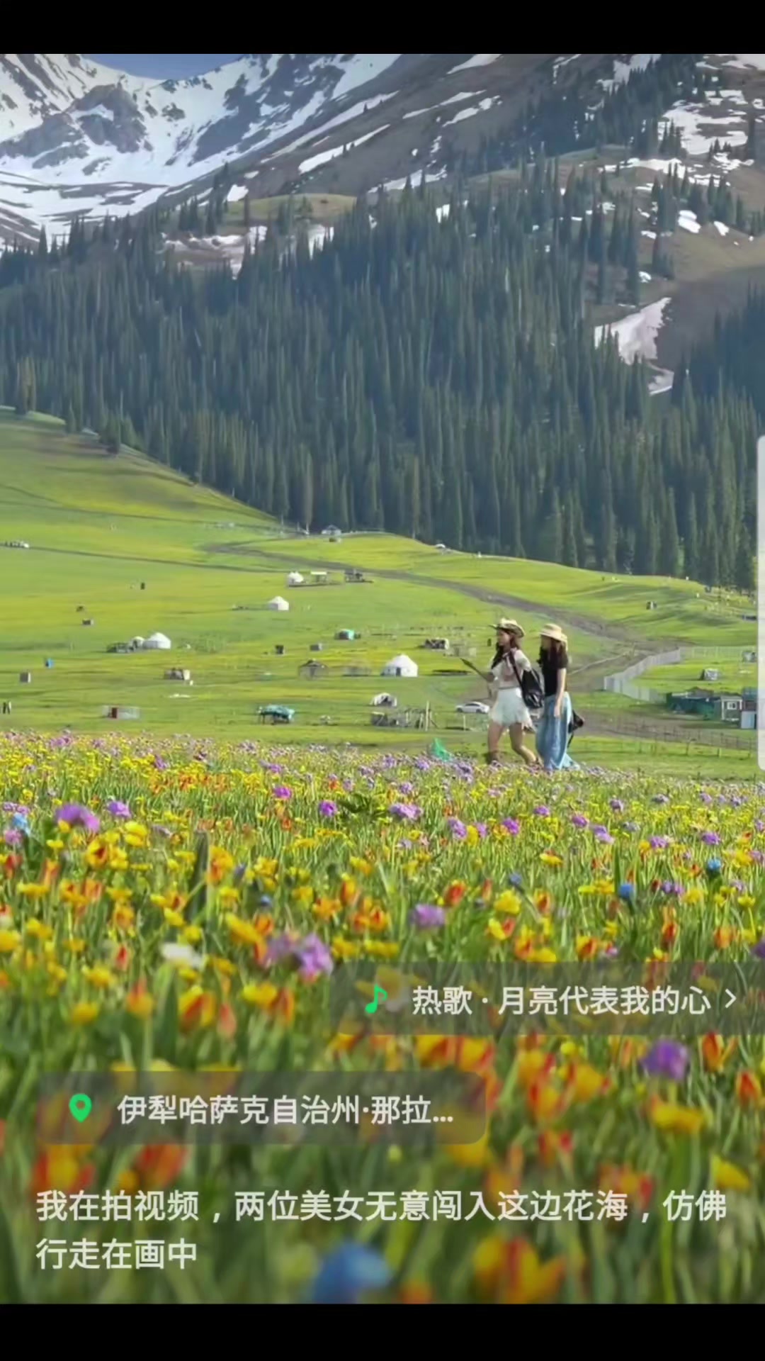 @❤心灵漫游⚘️마음힐링