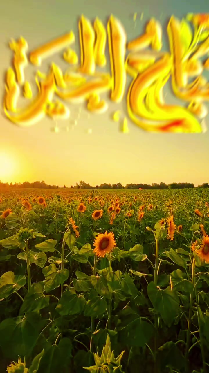 @🌟𝗦𝗼𝘂𝘇𝗮𝗻 𝗖𝗵𝗮𝗺𝘀