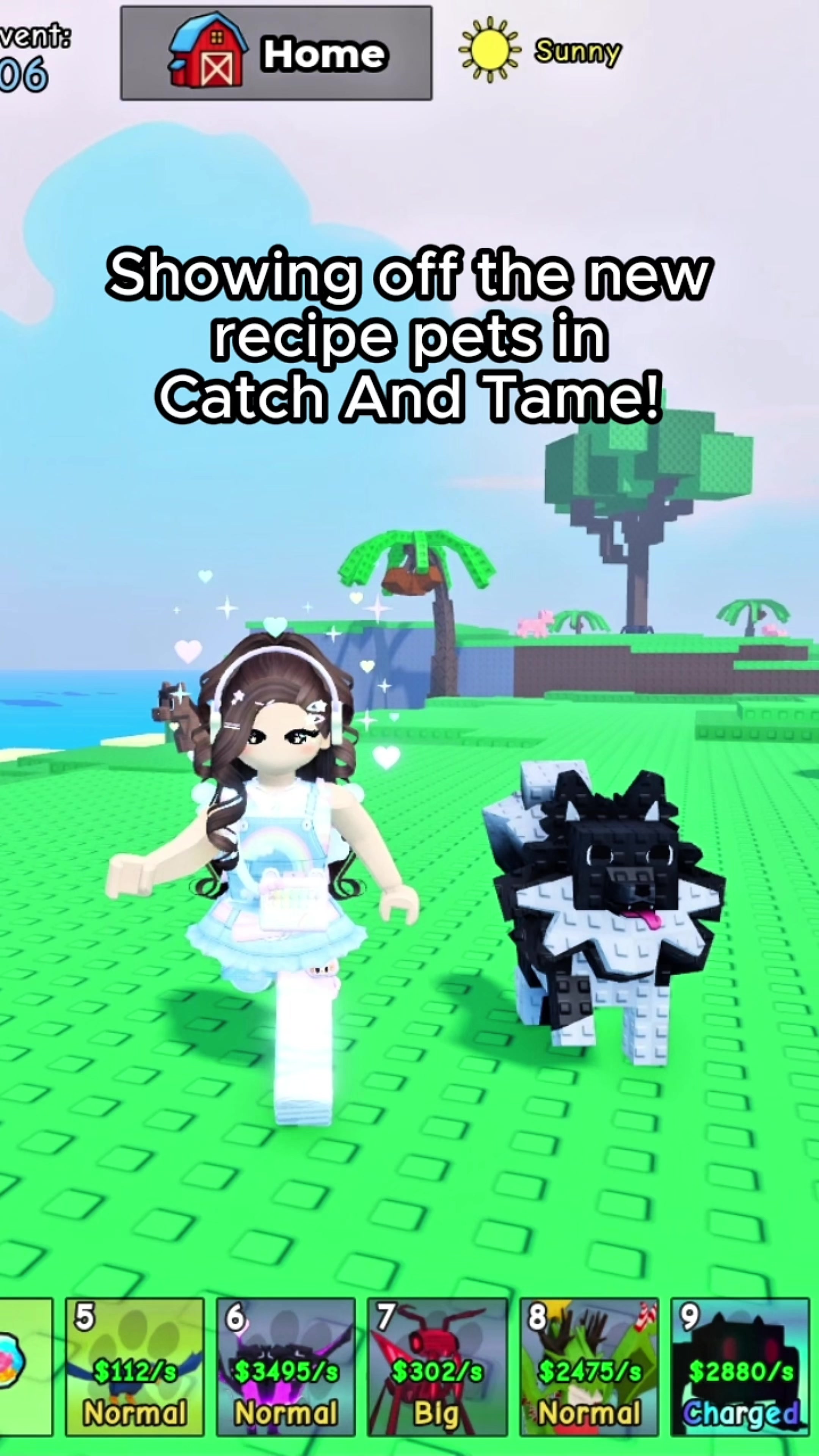@Catch & Tame