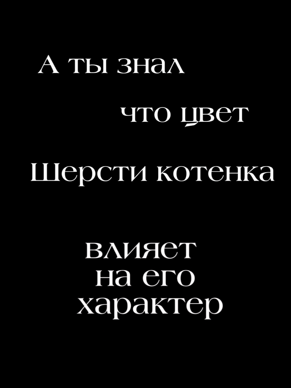 @ПУШИСТАЯ ЛАВКА
