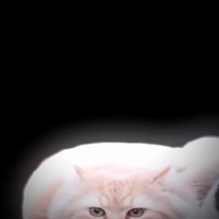 @Билли • Друзья