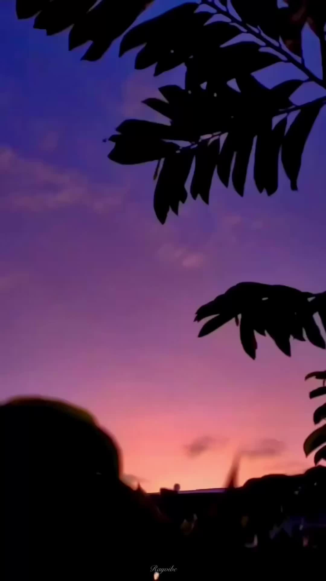 @rayvibe