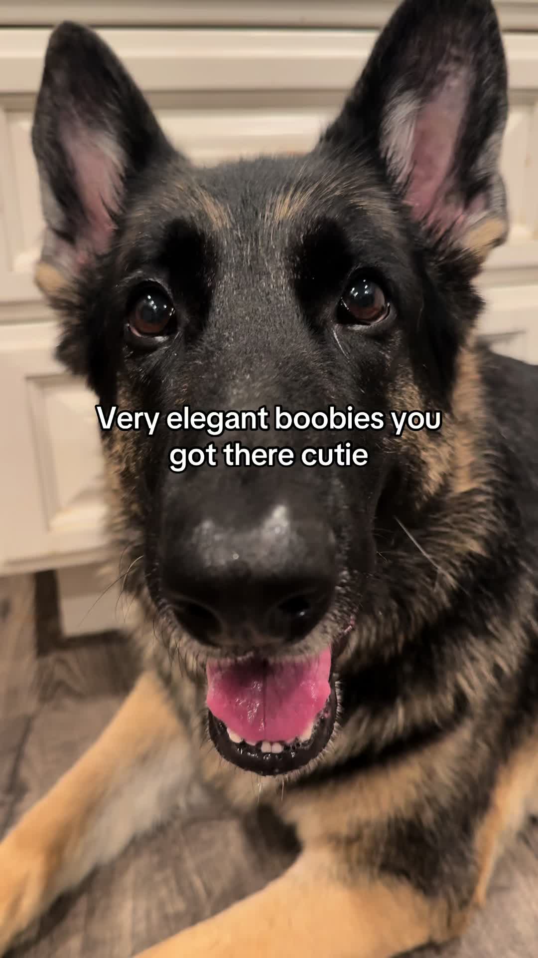 @Bhris
